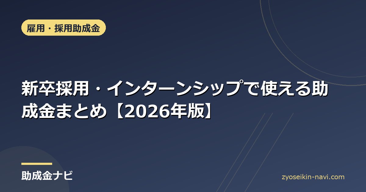 新卒採用・インターンシップで使える助成金まとめ【2026年版】